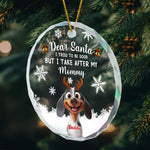 Dear Santa Christmas Pet - Personalized Glass Ornament