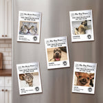 Funny_Pet_The_Trouble_Maker_Of_The_Year_For_Dog_Lovers_Cat_Lovers_Personalized_Magnet_1