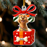 Pet In Present Box - Personalized Acrylic Ornament