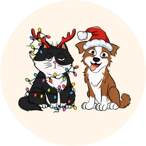 For Pet Lover